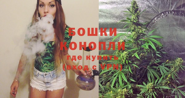 индика Богородск