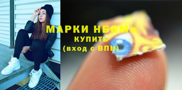 индика Богородск
