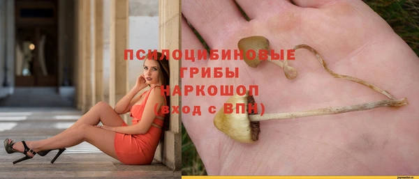 прущие крисы Бугульма