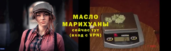 индика Богородск