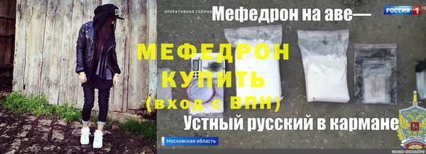 индика Богородск