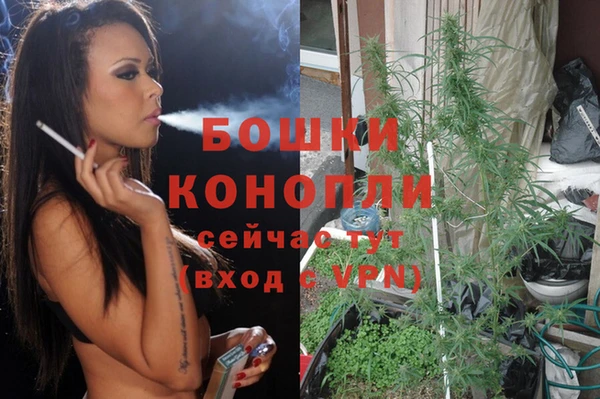 индика Богородск